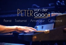 Toetsenist Peter van der Gaag 