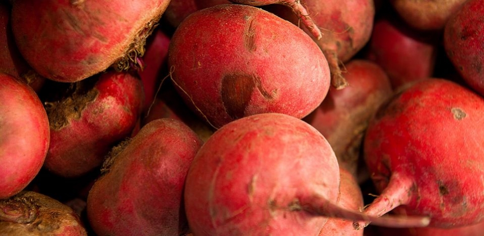 Veel ervaring met vers en food productfotografie!